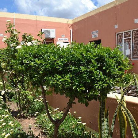 Seelo Guest Accommodation Letlhakane Exterior foto